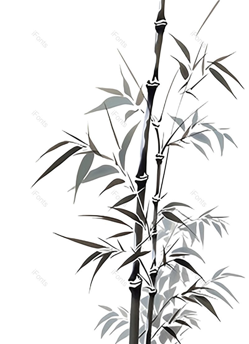 元素图片,插画元素,竹子PNG,免抠素材